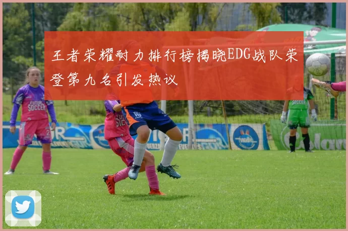王者荣耀耐力排行榜揭晓EDG战队荣登第九名引发热议