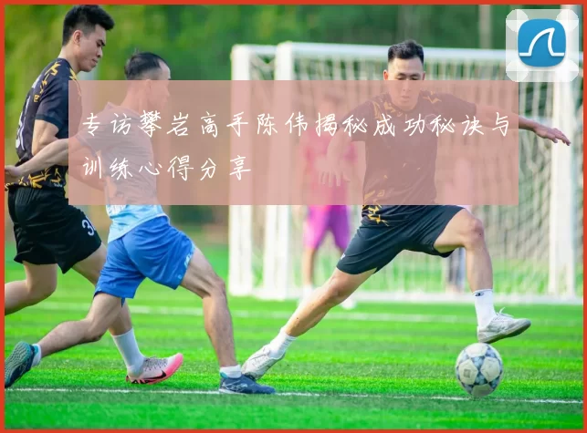 专访攀岩高手陈伟揭秘成功秘诀与训练心得分享