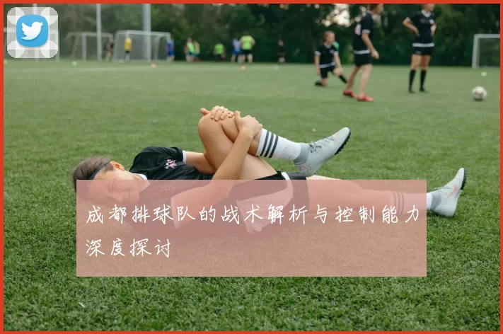 成都排球队的战术解析与控制能力深度探讨