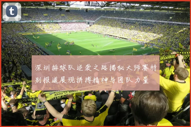 深圳排球队逆袭之路揭秘大师赛特别报道展现拼搏精神与团队力量