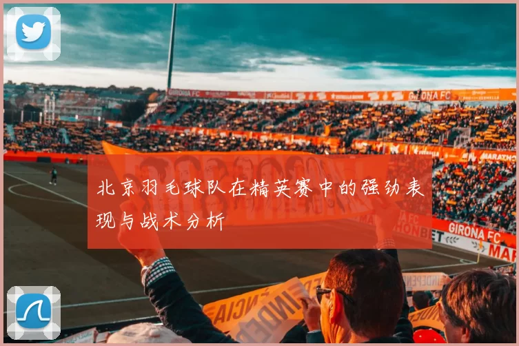 北京羽毛球队在精英赛中的强劲表现与战术分析