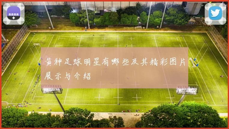 黄种足球明星有哪些及其精彩图片展示与介绍