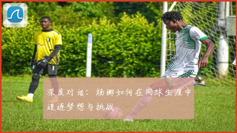 深度对话：杨娜如何在网球生涯中追逐梦想与挑战