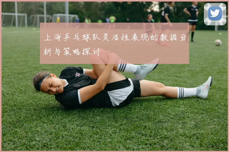 上海乒乓球队灵活性表现的数据分析与策略探讨