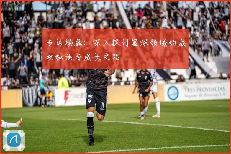 专访杨磊：深入探讨篮球领域的成功秘诀与成长之路
