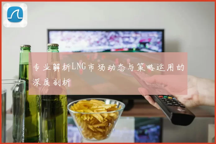 专业解析LNG市场动态与策略运用的深度剖析