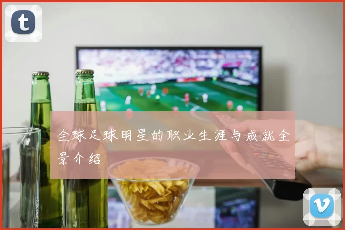 全球足球明星的职业生涯与成就全景介绍