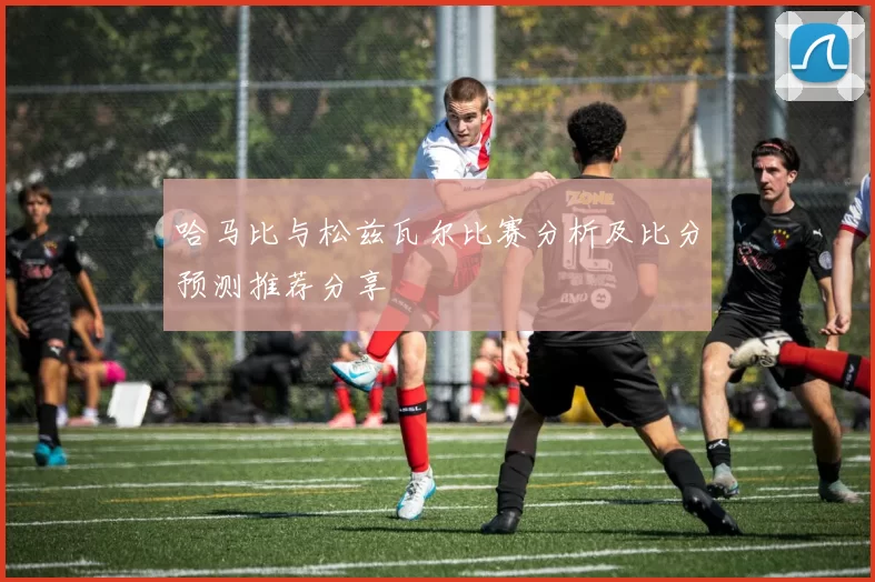 哈马比与松兹瓦尔比赛分析及比分预测推荐分享