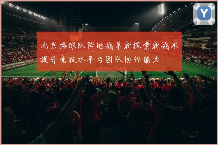 北京排球队阵地战革新探索新战术提升竞技水平与团队协作能力