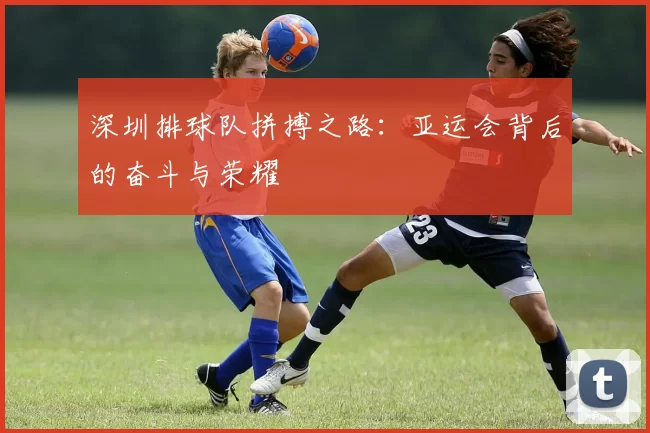 深圳排球队拼搏之路：亚运会背后的奋斗与荣耀